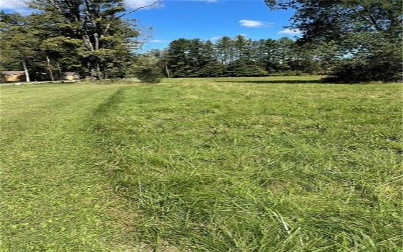 931 DARLINGTON ROAD, LIGONIER, 15658, ,Farm-acreage-lot,For Sale,DARLINGTON ROAD,1742444
