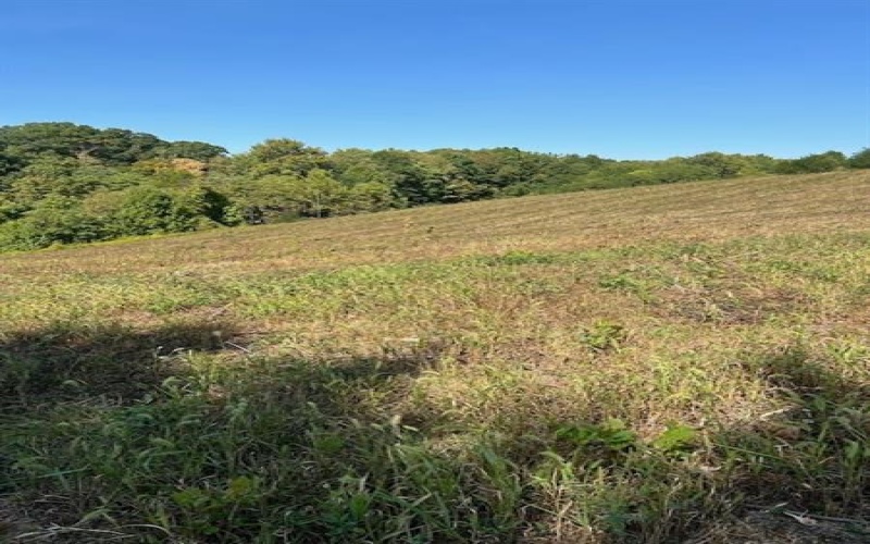0 Tanner Lane, Latrobe, 15650, ,Farm-acreage-lot,For Sale,one storage building,Tanner Lane,1725714
