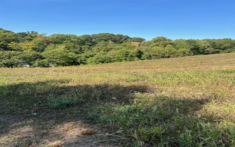 0 Tanner Lane, Latrobe, 15650, ,Farm-acreage-lot,For Sale,one storage building,Tanner Lane,1725714