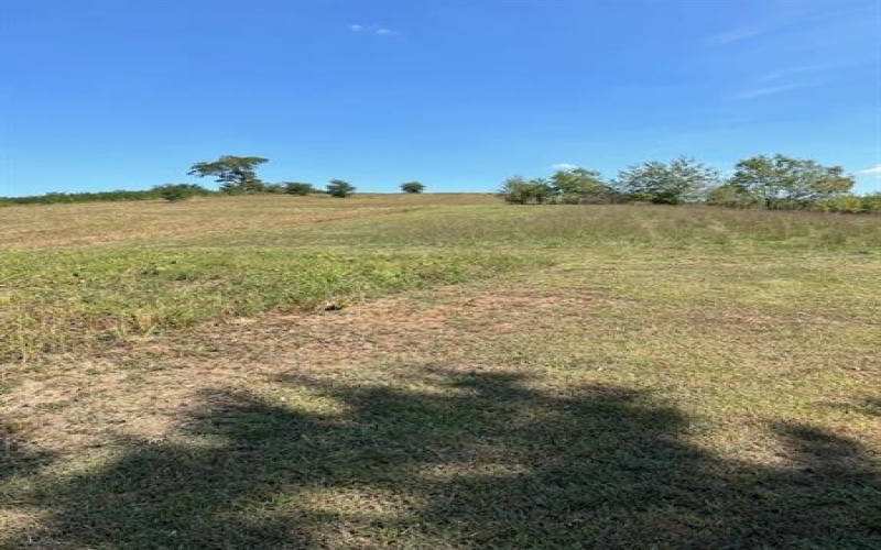 0 Tanner Lane, Latrobe, 15650, ,Farm-acreage-lot,For Sale,one storage building,Tanner Lane,1725714