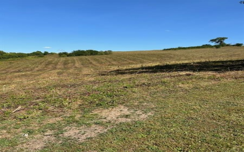 0 Tanner Lane, Latrobe, 15650, ,Farm-acreage-lot,For Sale,one storage building,Tanner Lane,1725714