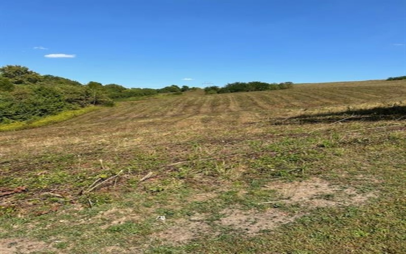 0 Tanner Lane, Latrobe, 15650, ,Farm-acreage-lot,For Sale,one storage building,Tanner Lane,1725714