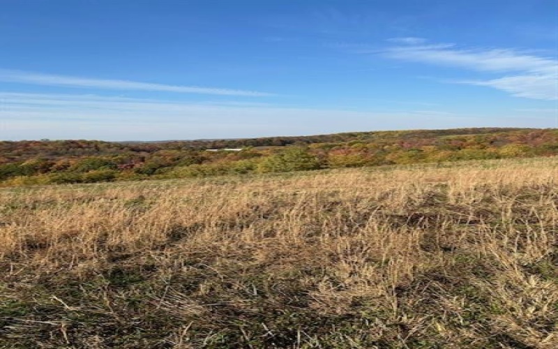 0 Tanner Lane, Latrobe, 15650, ,Farm-acreage-lot,For Sale,one storage building,Tanner Lane,1725714