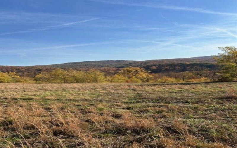 0 Tanner Lane, Latrobe, 15650, ,Farm-acreage-lot,For Sale,one storage building,Tanner Lane,1725714