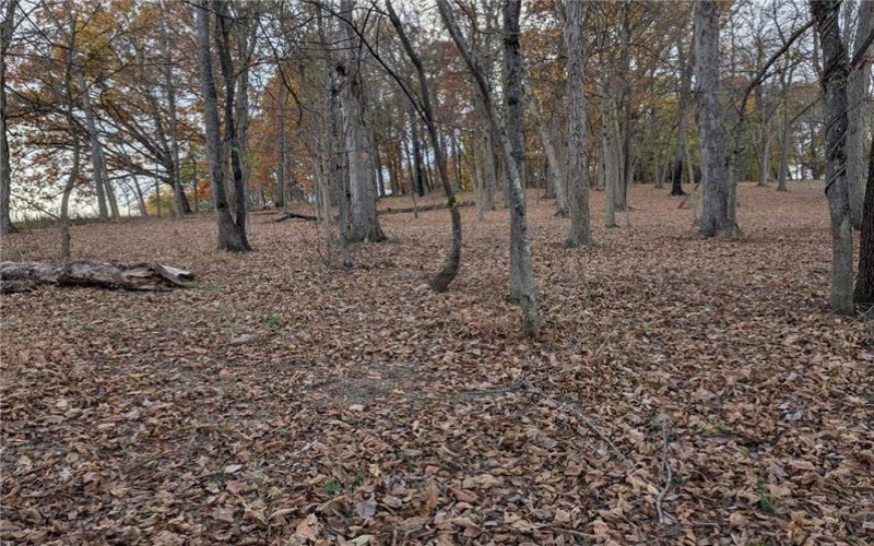 Lot 4A Sugar Run Rd, Eighty Four, 15330, ,Farm-acreage-lot,For Sale,Sugar Run Rd,1742477
