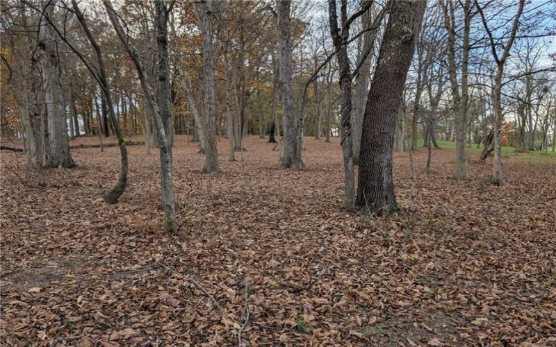 Lot 4A Sugar Run Rd, Eighty Four, 15330, ,Farm-acreage-lot,For Sale,Sugar Run Rd,1742477