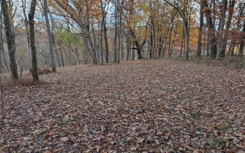Lot 4A Sugar Run Rd, Eighty Four, 15330, ,Farm-acreage-lot,For Sale,Sugar Run Rd,1742477