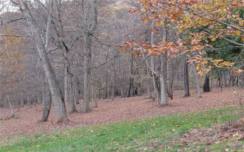Lot 4A Sugar Run Rd, Eighty Four, 15330, ,Farm-acreage-lot,For Sale,Sugar Run Rd,1742477