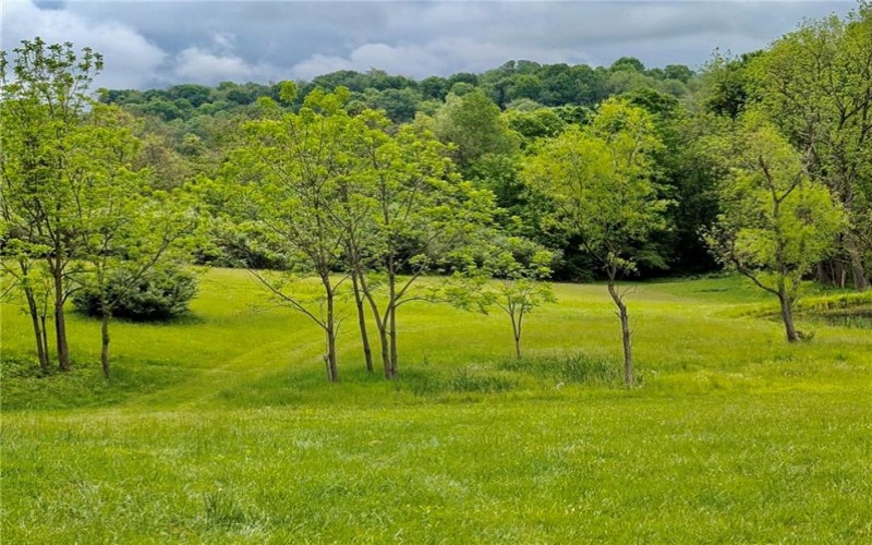 Lot 4A Sugar Run Rd, Eighty Four, 15330, ,Farm-acreage-lot,For Sale,Sugar Run Rd,1742477