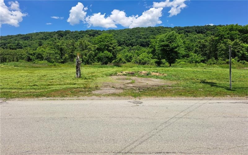 1220 Water St, Brownsville, 15417, ,Commercial-industrial-business,For Sale,Water St,1742493