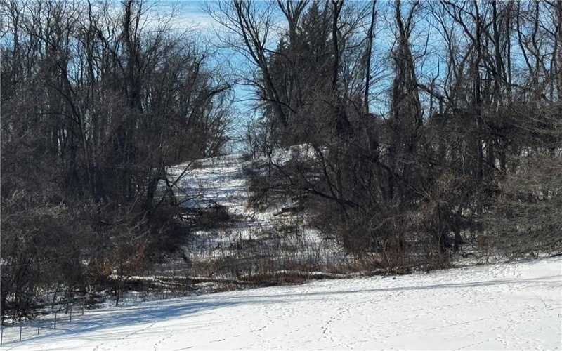 0 Hickory, Charleroi, 15022, ,Farm-acreage-lot,For Sale,Hickory,1739714