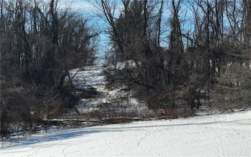 0 Hickory, Charleroi, 15022, ,Farm-acreage-lot,For Sale,Hickory,1739714