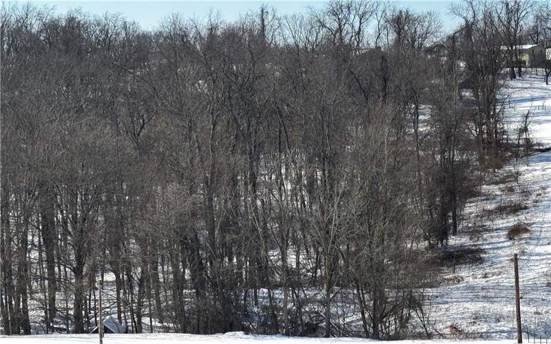 0 Hickory, Charleroi, 15022, ,Farm-acreage-lot,For Sale,Hickory,1739714
