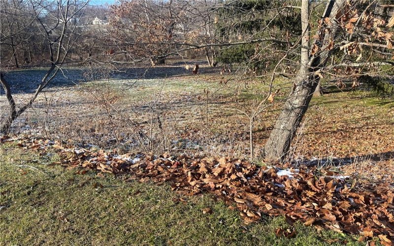 132 SUGAR LANE, CLARKSVILLE, 15322, ,Farm-acreage-lot,For Sale,NONE,SUGAR LANE,1726014