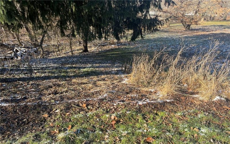 132 SUGAR LANE, CLARKSVILLE, 15322, ,Farm-acreage-lot,For Sale,NONE,SUGAR LANE,1726014