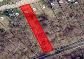 404 Chestnut St, Monessen, 15062, ,Farm-acreage-lot,For Sale,Chestnut St,1736695