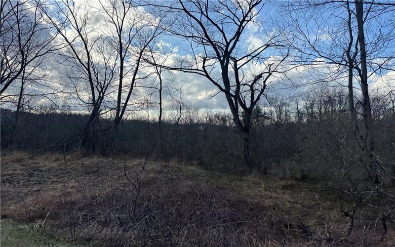 209 Route 271, Ligonier, 15658, ,Commercial-industrial-business,For Sale,Route 271,1742674