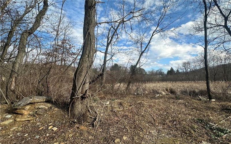 209 Route 271, Ligonier, 15658, ,Commercial-industrial-business,For Sale,Route 271,1742674