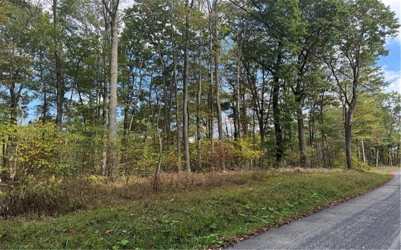 0 Old Hickory Flats Road, 15501, 15501, ,Farm-acreage-lot,For Sale,Old Hickory Flats Road,1726133