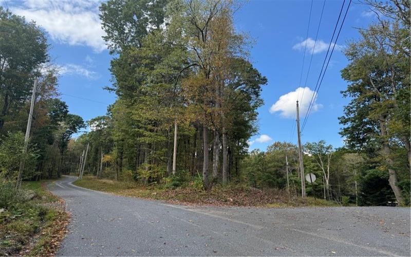 0 Old Hickory Flats Road, 15501, 15501, ,Farm-acreage-lot,For Sale,Old Hickory Flats Road,1726133