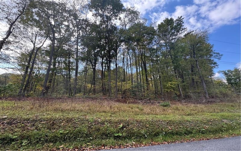 0 Old Hickory Flats Road, 15501, 15501, ,Farm-acreage-lot,For Sale,Old Hickory Flats Road,1726133
