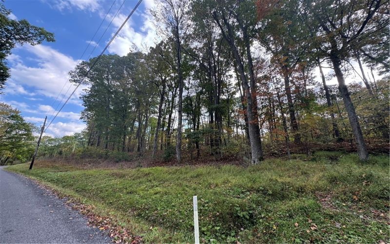 0 Old Hickory Flats Road, 15501, 15501, ,Farm-acreage-lot,For Sale,Old Hickory Flats Road,1726133