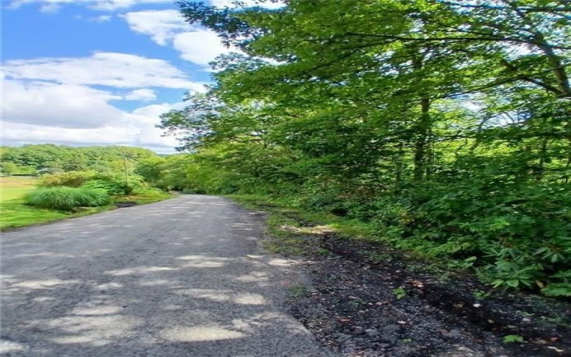 702 Shepherd Rd, Farmington, 15437, ,Farm-acreage-lot,For Sale,Shepherd Rd,1742712