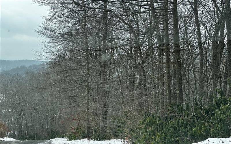 702 Shepherd Rd, Farmington, 15437, ,Farm-acreage-lot,For Sale,Shepherd Rd,1742712