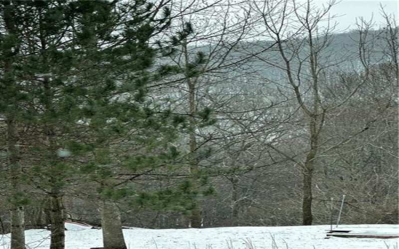702 Shepherd Rd, Farmington, 15437, ,Farm-acreage-lot,For Sale,Shepherd Rd,1742712