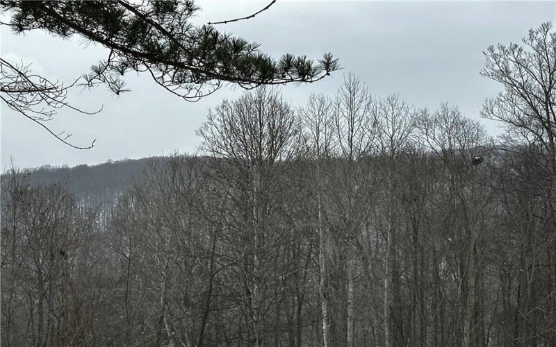 702 Shepherd Rd, Farmington, 15437, ,Farm-acreage-lot,For Sale,Shepherd Rd,1742712
