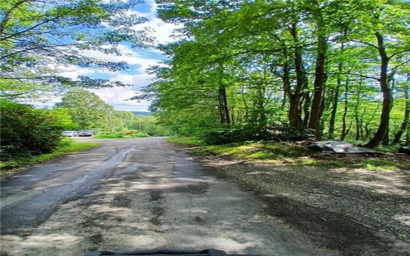 702 Shepherd Rd, Farmington, 15437, ,Farm-acreage-lot,For Sale,Shepherd Rd,1742712