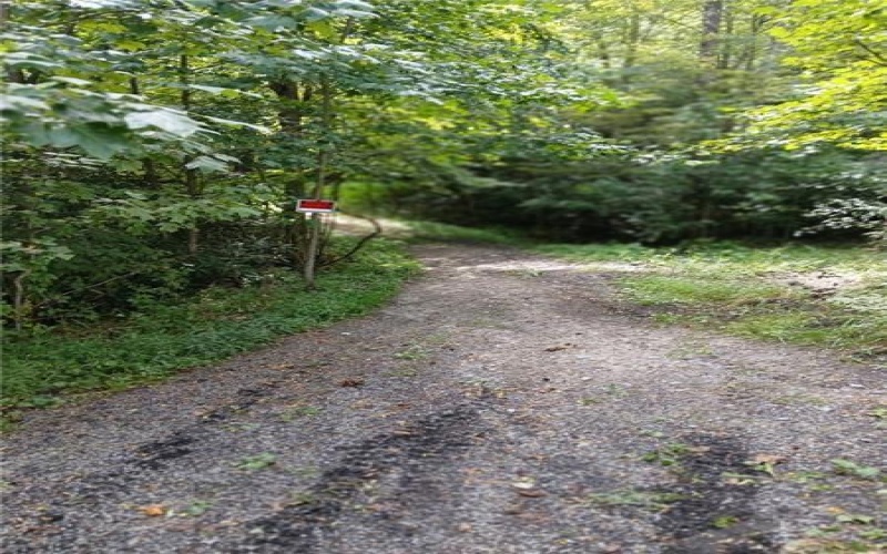 702 Shepherd Rd, Farmington, 15437, ,Farm-acreage-lot,For Sale,Shepherd Rd,1742712