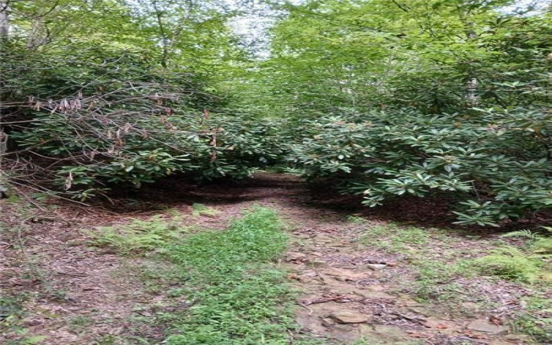 702 Shepherd Rd, Farmington, 15437, ,Farm-acreage-lot,For Sale,Shepherd Rd,1742712
