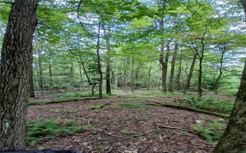 702 Shepherd Rd, Farmington, 15437, ,Farm-acreage-lot,For Sale,Shepherd Rd,1742712