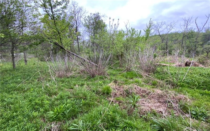 130 Henry Rd, New Stanton, 15672, ,Farm-acreage-lot,For Sale,none,Henry Rd,1745315