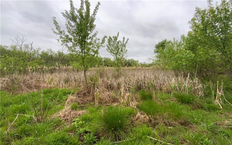 130 Henry Rd, New Stanton, 15672, ,Farm-acreage-lot,For Sale,none,Henry Rd,1745315
