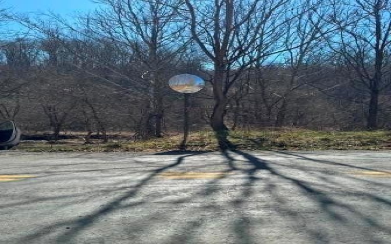 0 Brush Run, Avella, 15312, ,Farm-acreage-lot,For Sale,None,Brush Run,1747417