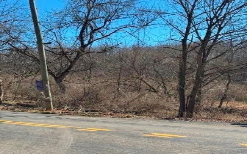 0 Brush Run, Avella, 15312, ,Farm-acreage-lot,For Sale,None,Brush Run,1747417