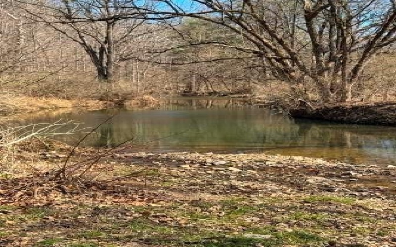 0 Brush Run, Avella, 15312, ,Farm-acreage-lot,For Sale,None,Brush Run,1747417