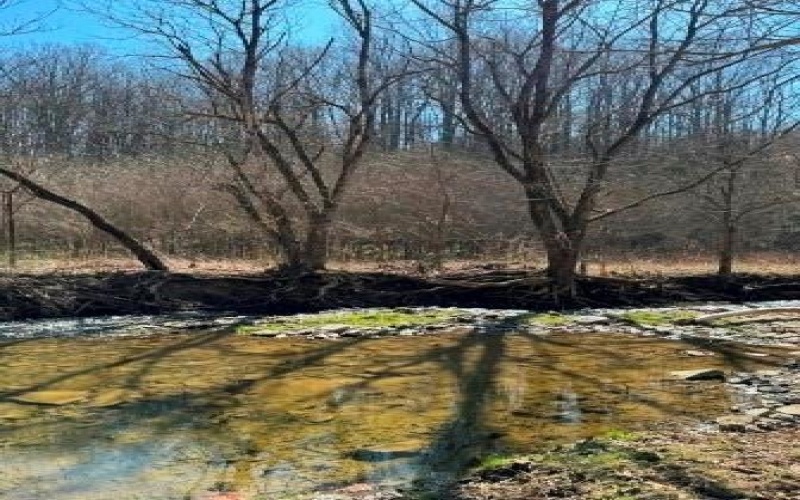 0 Brush Run, Avella, 15312, ,Farm-acreage-lot,For Sale,None,Brush Run,1747417