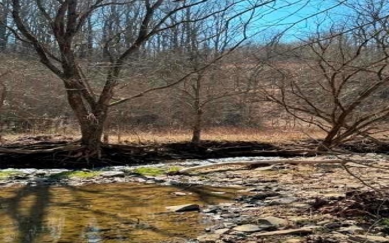 0 Brush Run, Avella, 15312, ,Farm-acreage-lot,For Sale,None,Brush Run,1747417