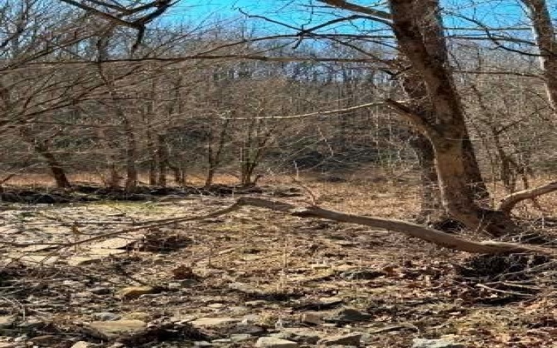 0 Brush Run, Avella, 15312, ,Farm-acreage-lot,For Sale,None,Brush Run,1747417