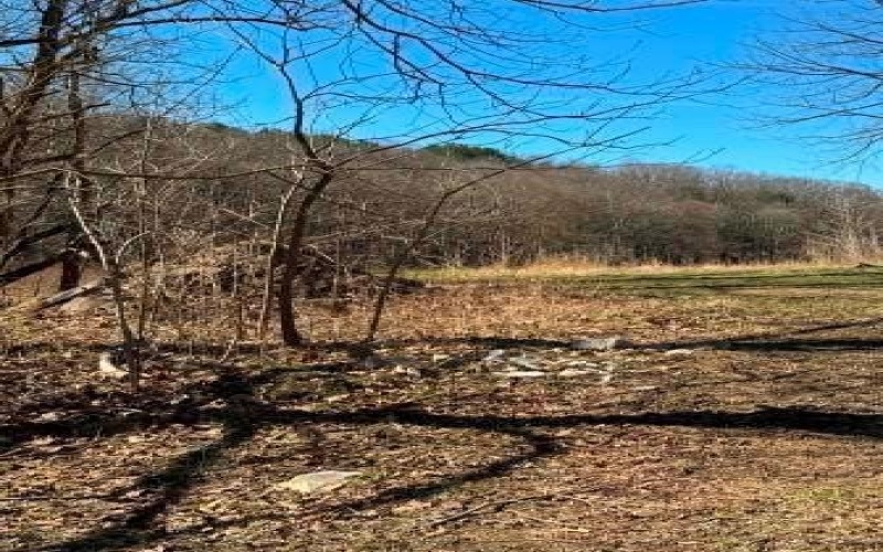 0 Brush Run, Avella, 15312, ,Farm-acreage-lot,For Sale,None,Brush Run,1747417