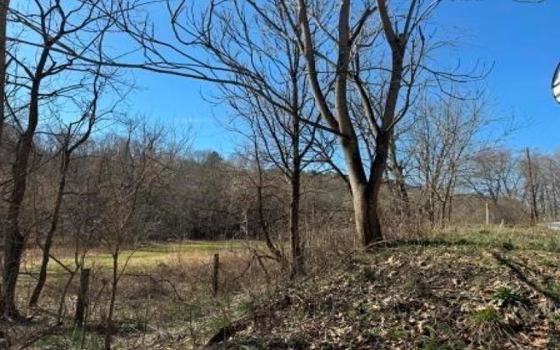 0 Brush Run, Avella, 15312, ,Farm-acreage-lot,For Sale,None,Brush Run,1747417