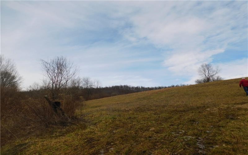 1964 Toms Run Rd, Holbrook, 15341, 4 Bedrooms Bedrooms, ,1.2 BathroomsBathrooms,Farm-acreage-lot,For Sale,Garage and barn,Toms Run Rd,1736752