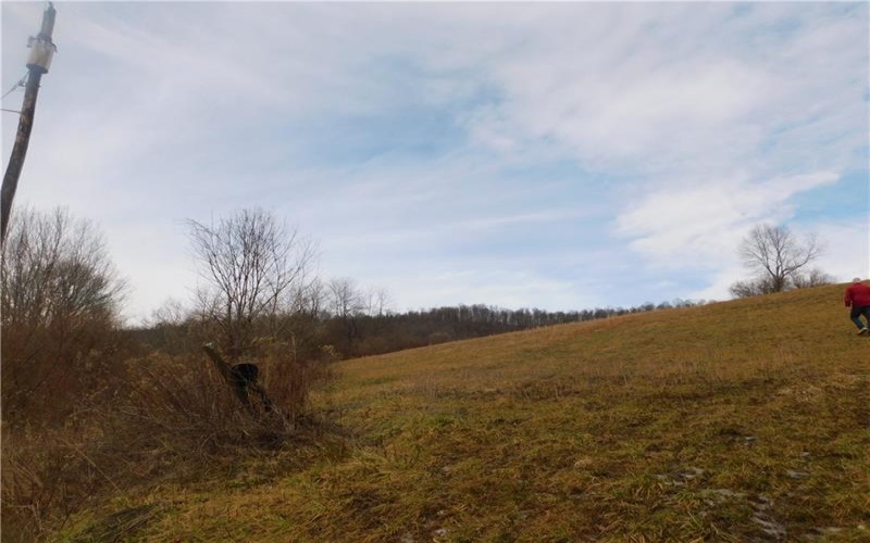 1964 Toms Run Rd, Holbrook, 15341, 4 Bedrooms Bedrooms, ,1.2 BathroomsBathrooms,Farm-acreage-lot,For Sale,Garage and barn,Toms Run Rd,1736752