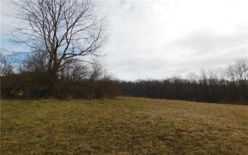 1964 Toms Run Rd, Holbrook, 15341, 4 Bedrooms Bedrooms, ,1.2 BathroomsBathrooms,Farm-acreage-lot,For Sale,Garage and barn,Toms Run Rd,1736752