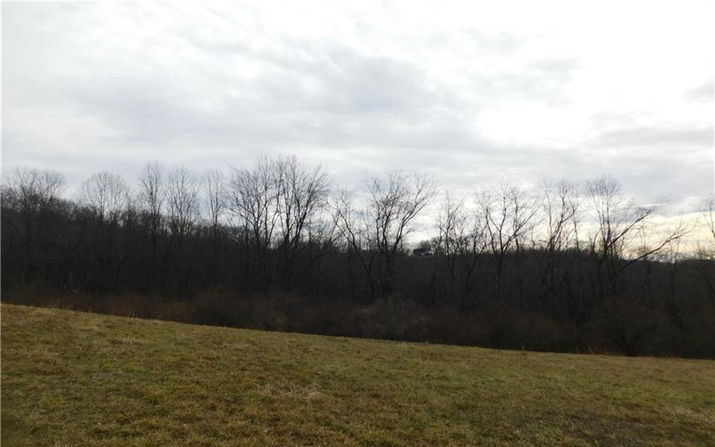 1964 Toms Run Rd, Holbrook, 15341, 4 Bedrooms Bedrooms, ,1.2 BathroomsBathrooms,Farm-acreage-lot,For Sale,Garage and barn,Toms Run Rd,1736752