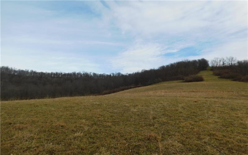 1964 Toms Run Rd, Holbrook, 15341, 4 Bedrooms Bedrooms, ,1.2 BathroomsBathrooms,Farm-acreage-lot,For Sale,Garage and barn,Toms Run Rd,1736752
