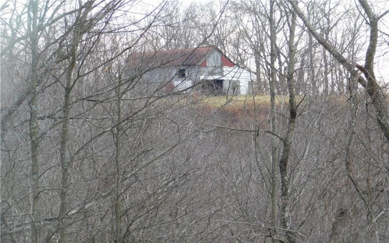 1964 Toms Run Rd, Holbrook, 15341, 4 Bedrooms Bedrooms, ,1.2 BathroomsBathrooms,Farm-acreage-lot,For Sale,Garage and barn,Toms Run Rd,1736752